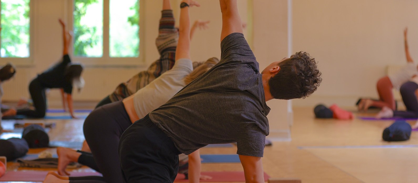 Liam - Antaratma Yogashala Innsbruck Kira chaturangadandasana. 2nef